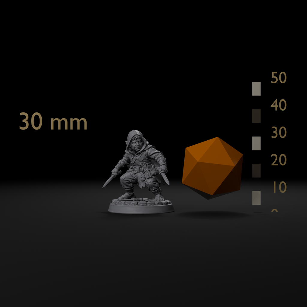 Halfling rogue D&D miniature size reference beside a 20mm d20 and a millimeter scale bar